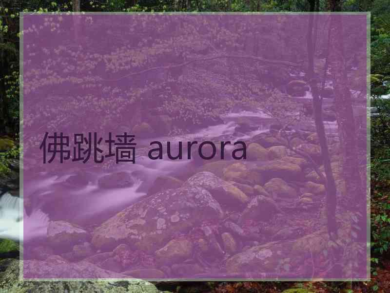 佛跳墙 aurora