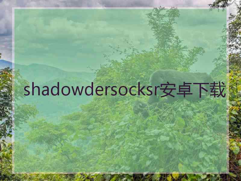 shadowdersocksr安卓下载