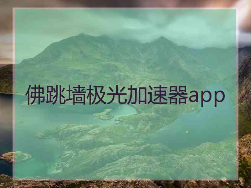 佛跳墙极光加速器app