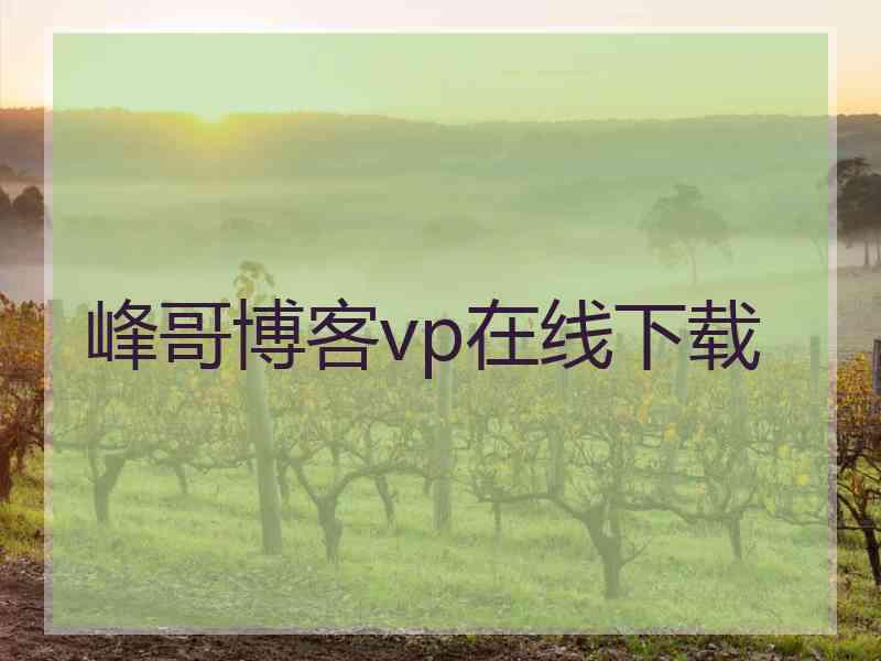 峰哥博客vp在线下载