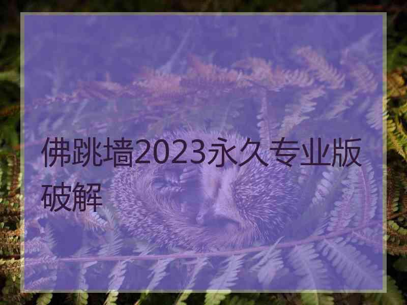 佛跳墙2023永久专业版破解