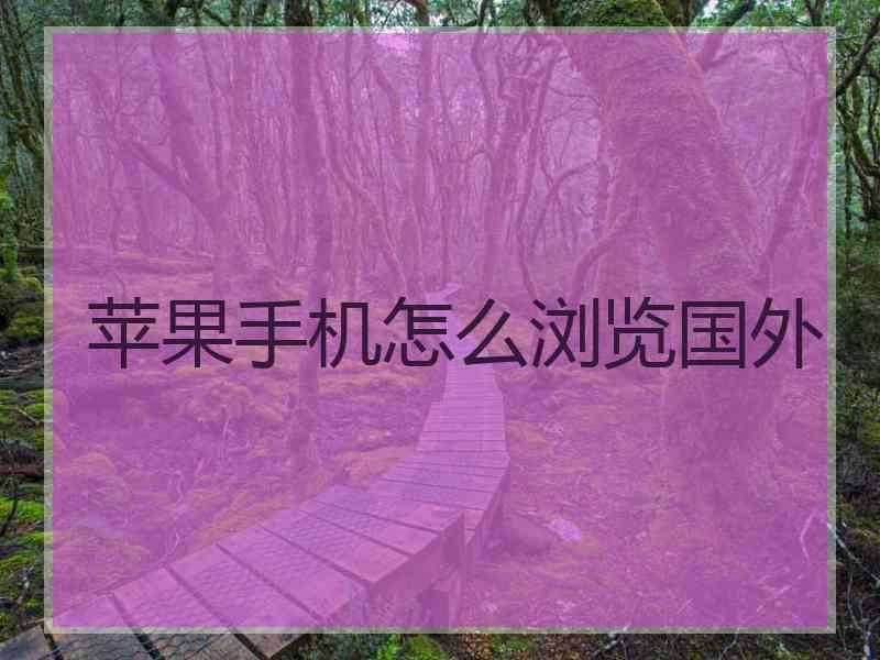 苹果手机怎么浏览国外