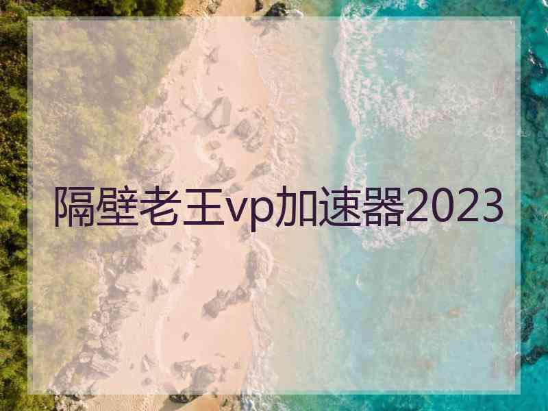 隔壁老王vp加速器2023