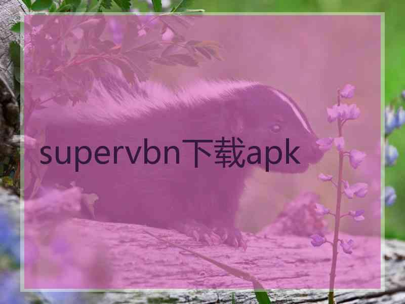 supervbn下载apk