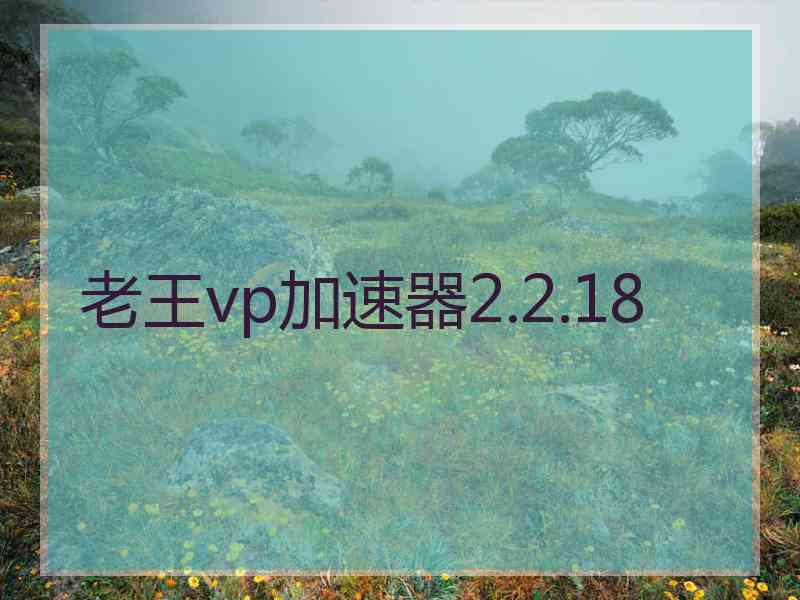 老王vp加速器2.2.18