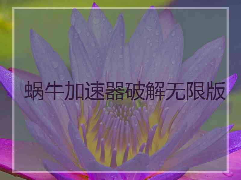 蜗牛加速器破解无限版