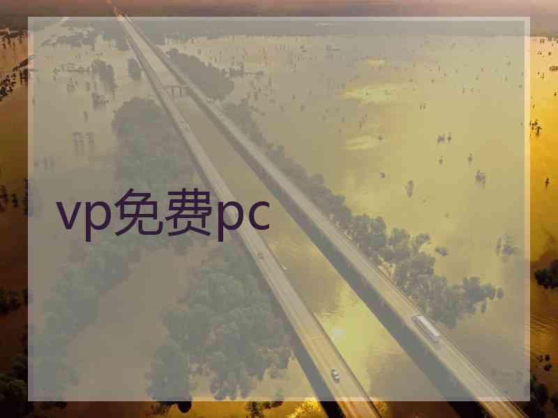 vp免费pc