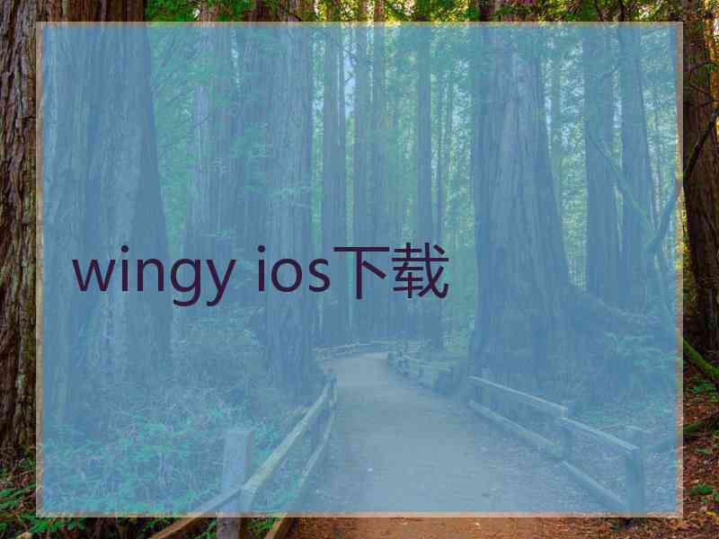 wingy ios下载