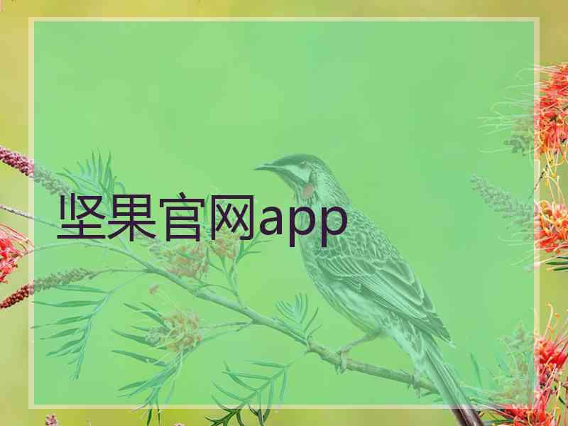 坚果官网app