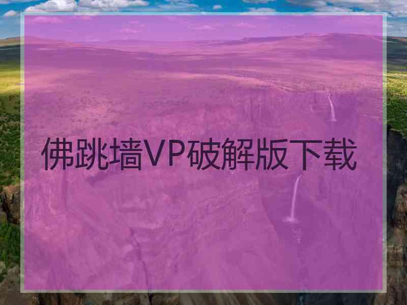 佛跳墙VP破解版下载