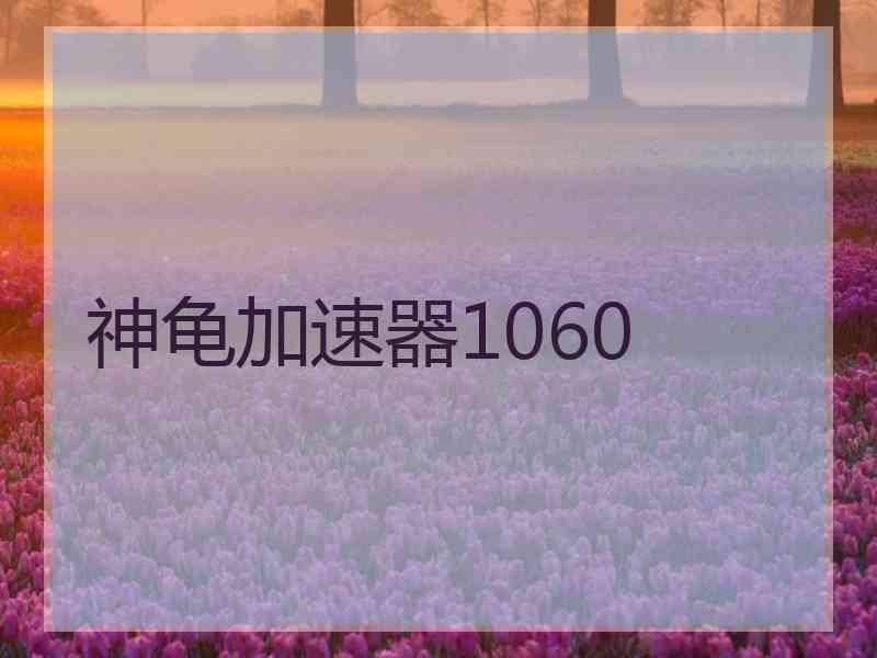 神龟加速器1060