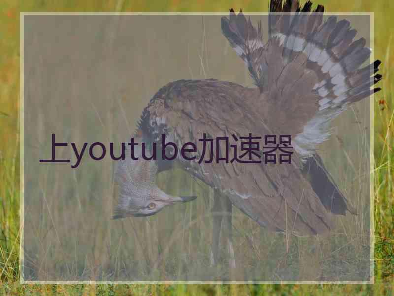 上youtube加速器