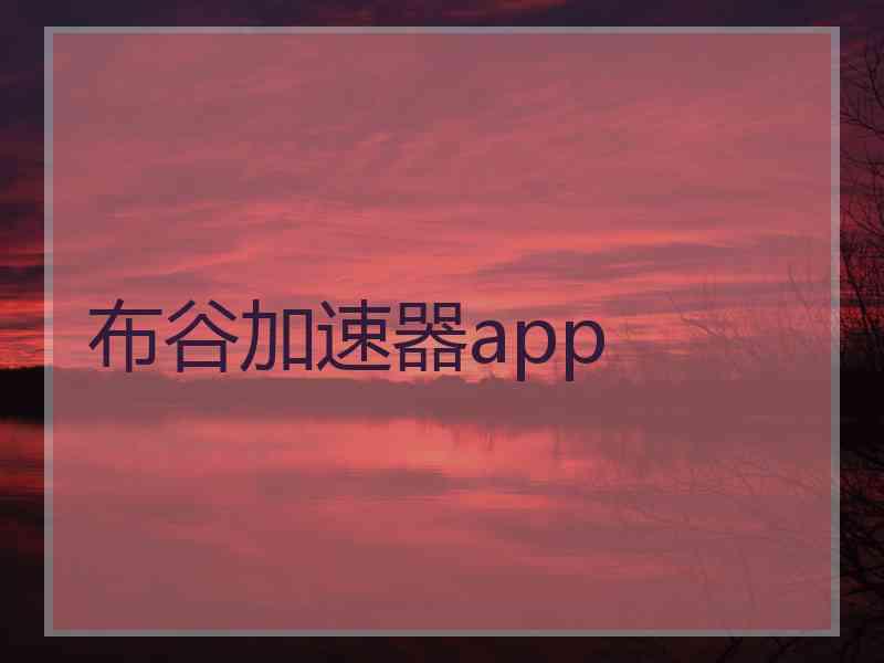 布谷加速器app