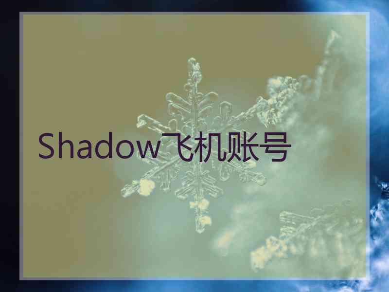 Shadow飞机账号