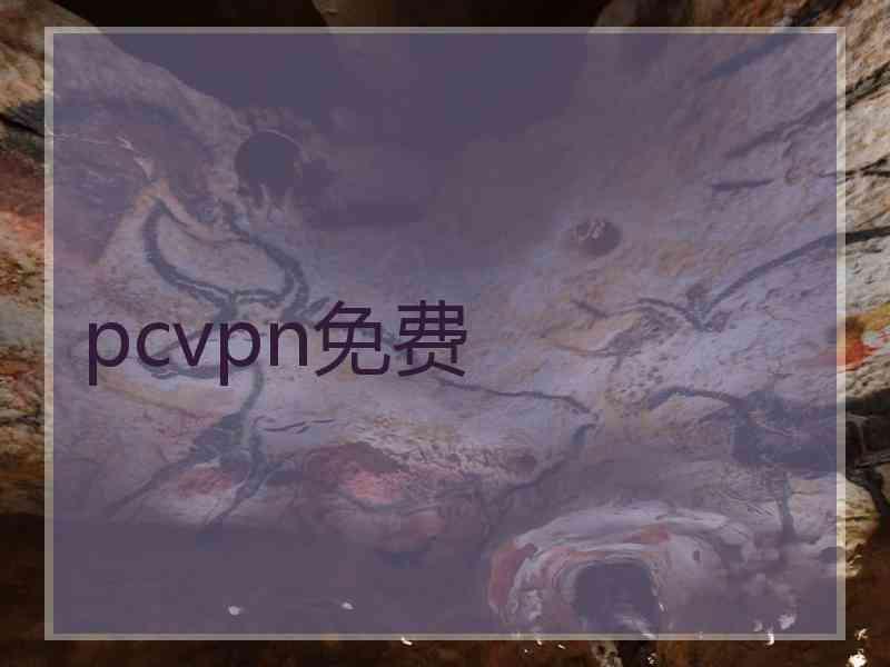 pcvpn免费