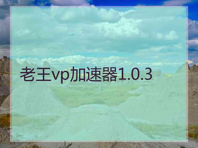 老王vp加速器1.0.3