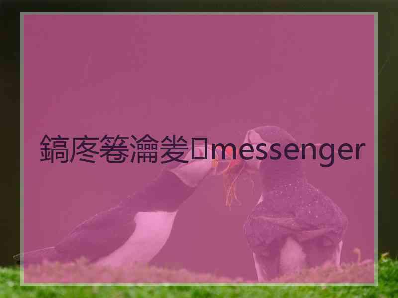 鎬庝箞瀹夎messenger