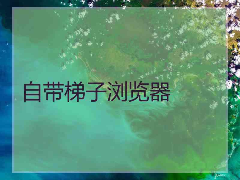 自带梯子浏览器