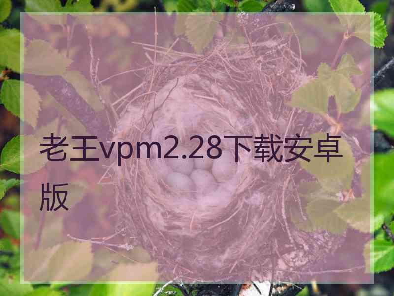 老王vpm2.28下载安卓版