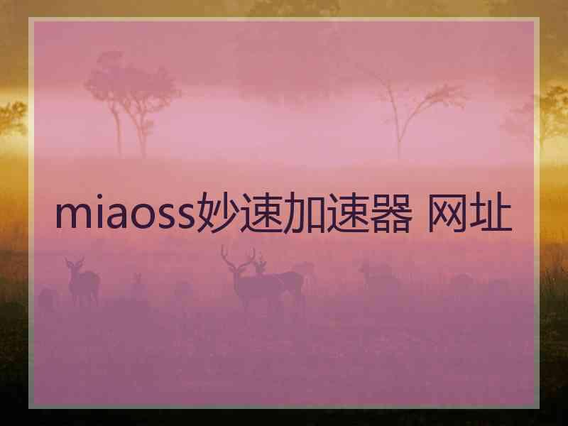 miaoss妙速加速器 网址