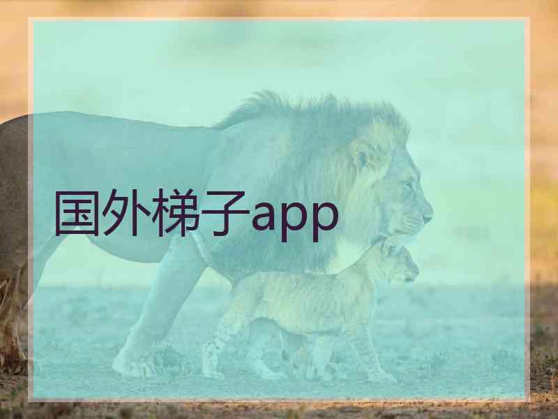 国外梯子app