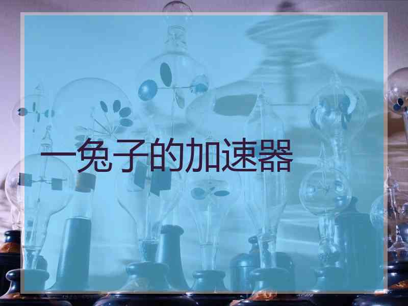 一兔子的加速器