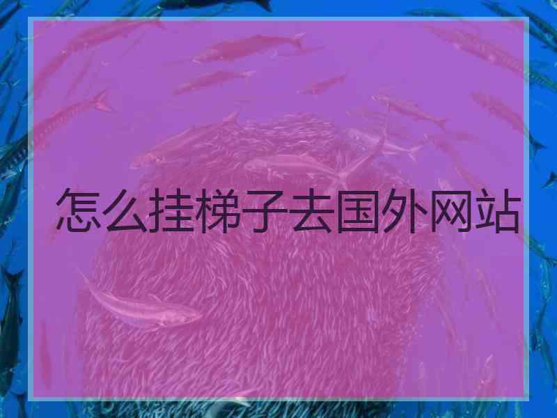 怎么挂梯子去国外网站