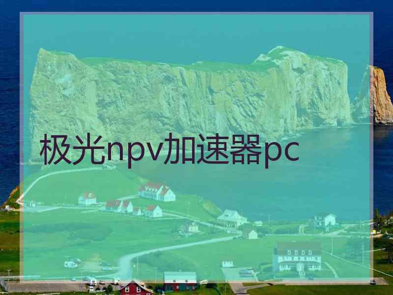 极光npv加速器pc