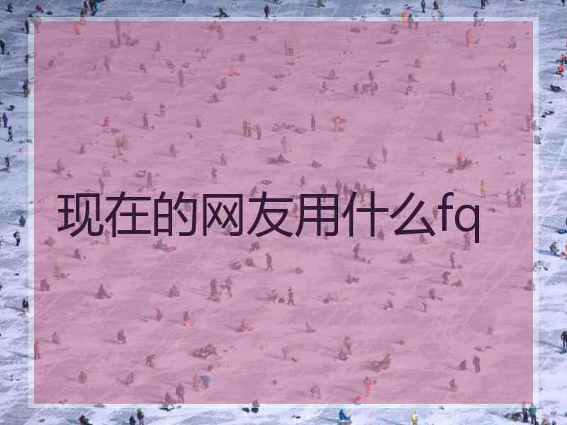 现在的网友用什么fq