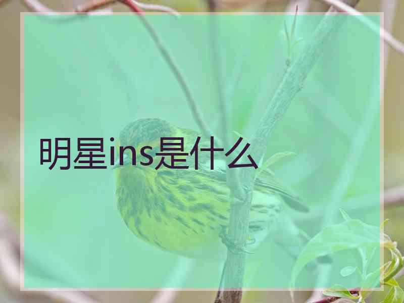 明星ins是什么