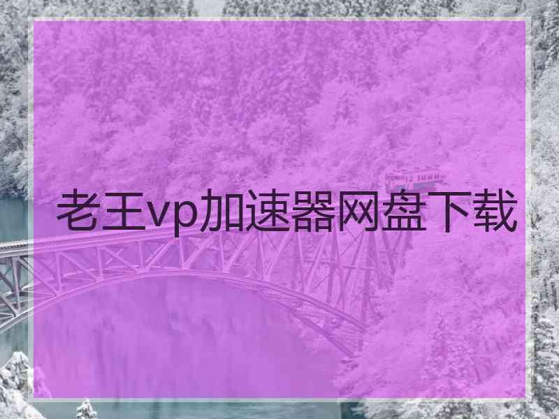 老王vp加速器网盘下载