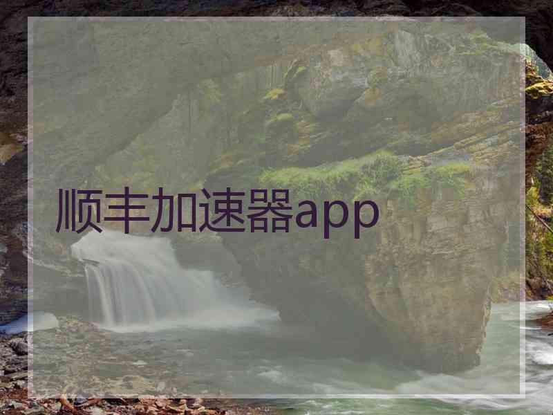 顺丰加速器app