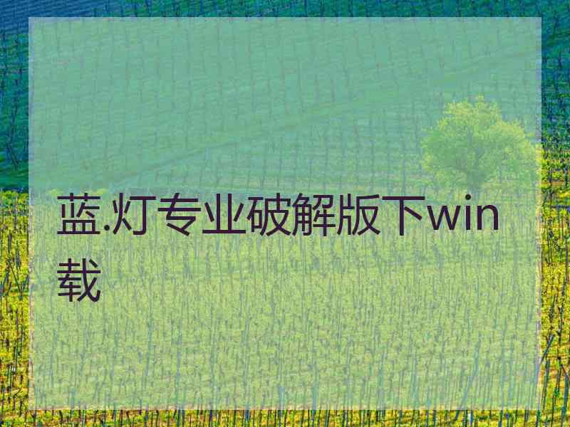 蓝.灯专业破解版下win载