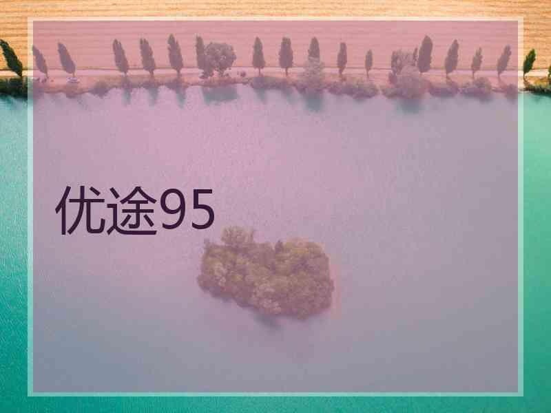 优途95