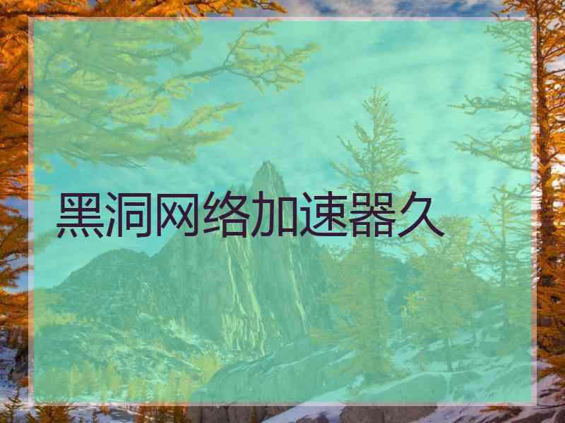 黑洞网络加速器久