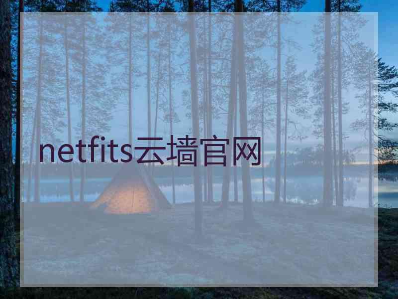 netfits云墙官网