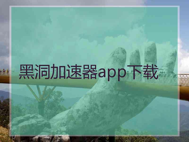 黑洞加速器app下载