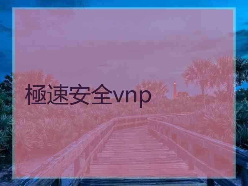 極速安全vnp