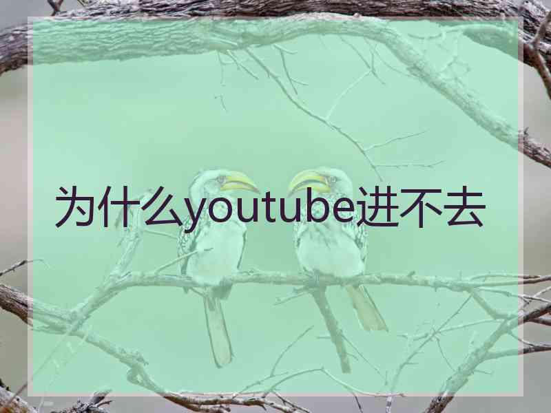 为什么youtube进不去