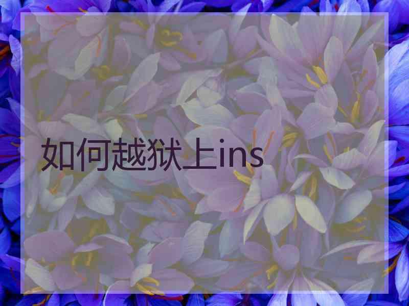 如何越狱上ins