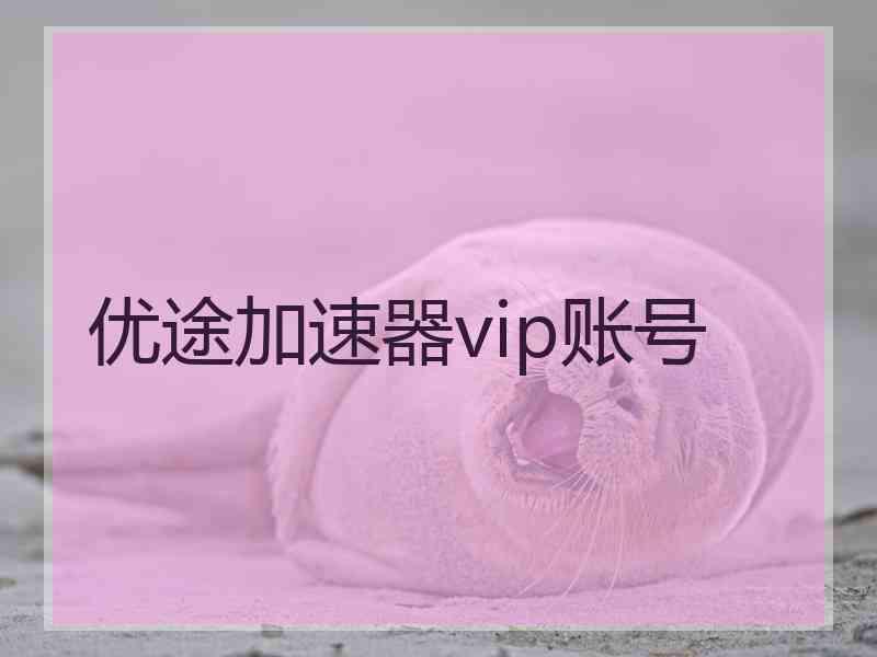 优途加速器vip账号