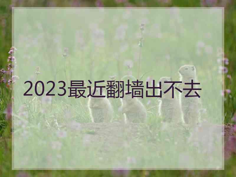 2023最近翻墙出不去