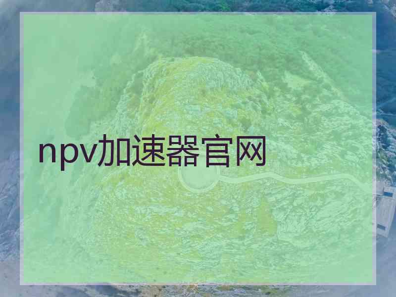 npv加速器官网