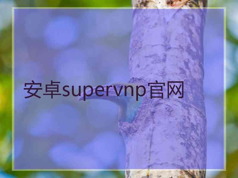 安卓supervnp官网