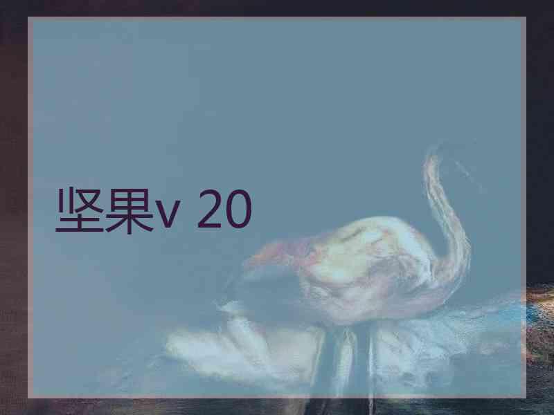 坚果v 20