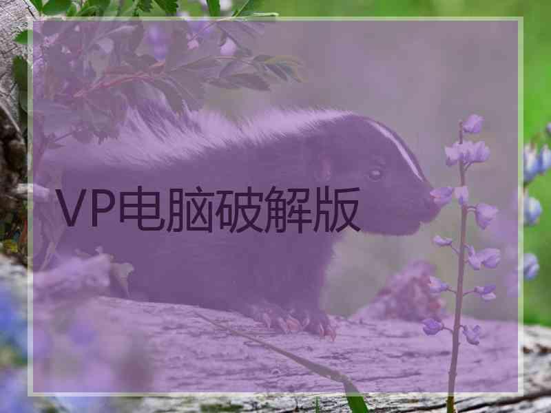 VP电脑破解版