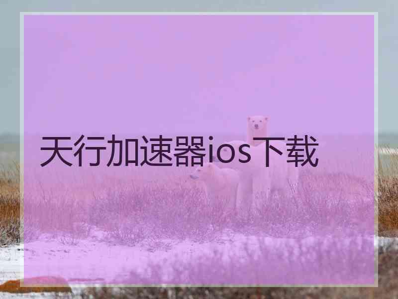 天行加速器ios下载