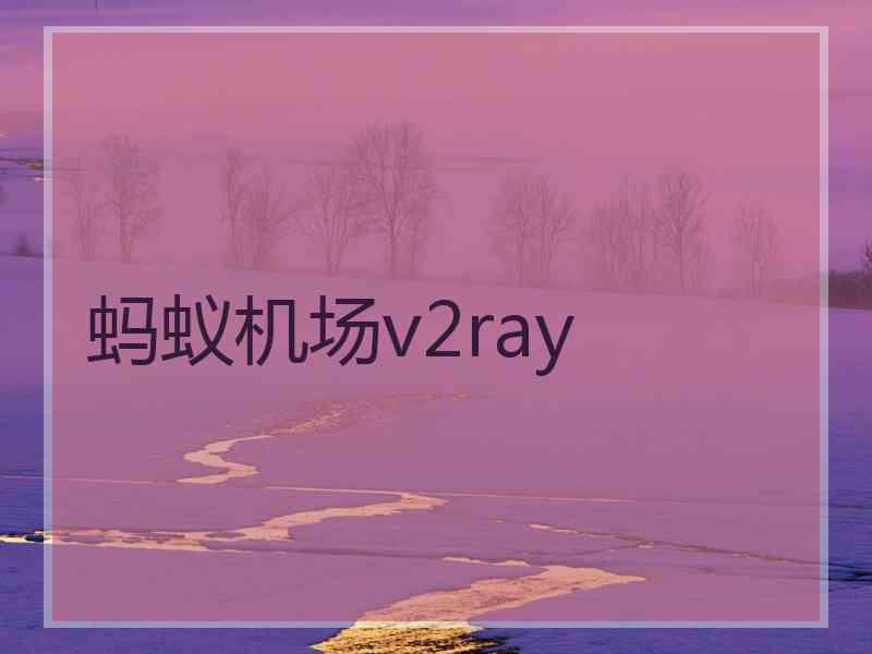 蚂蚁机场v2ray