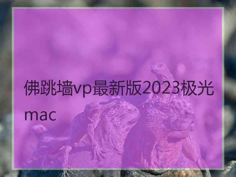 佛跳墙vp最新版2023极光 mac