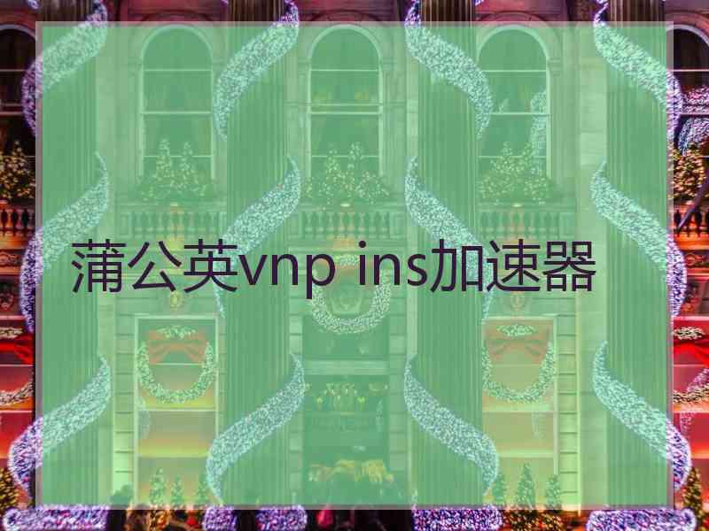 蒲公英vnp ins加速器